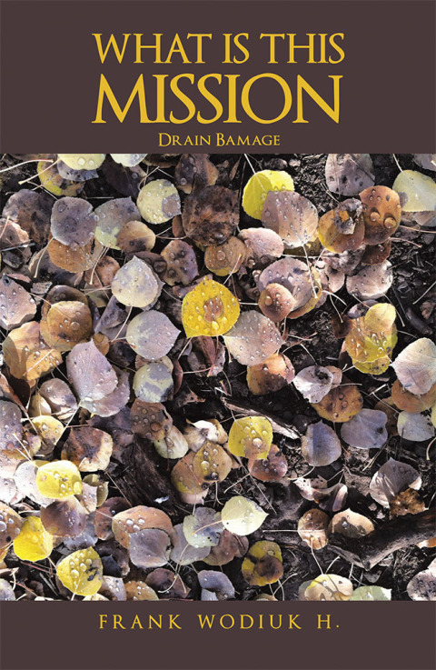 Cover image for book What Is This Mission