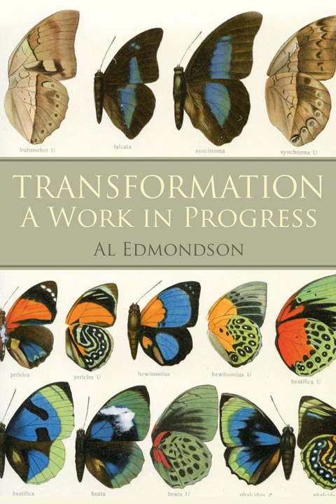 Cover image for book Transformation a Work in Progress