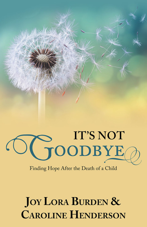 Cover image for book It’s Not Goodbye