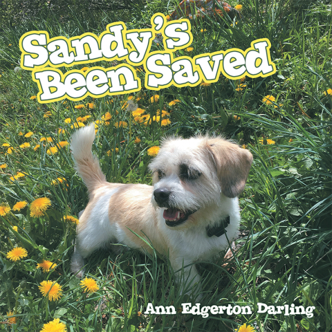Cover image for book Sandy’s Been Saved