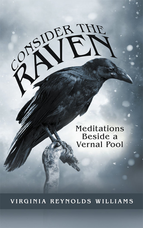 Cover image for book Consider the Raven