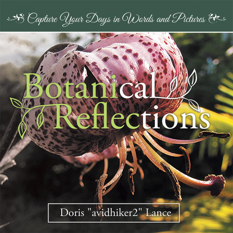 Cover image for book Botanical Reflections