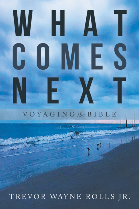 Cover image for book What Comes Next