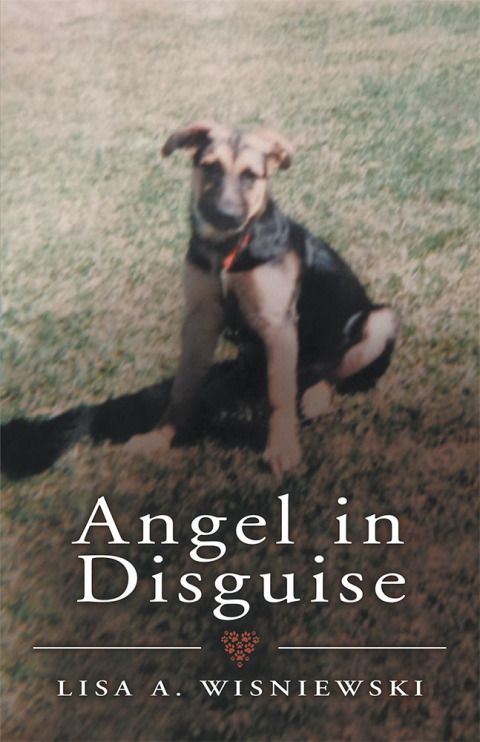 Cover image for book Angel in Disguise
