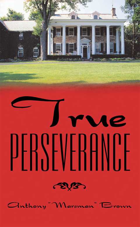 Cover image for book True Perseverance
