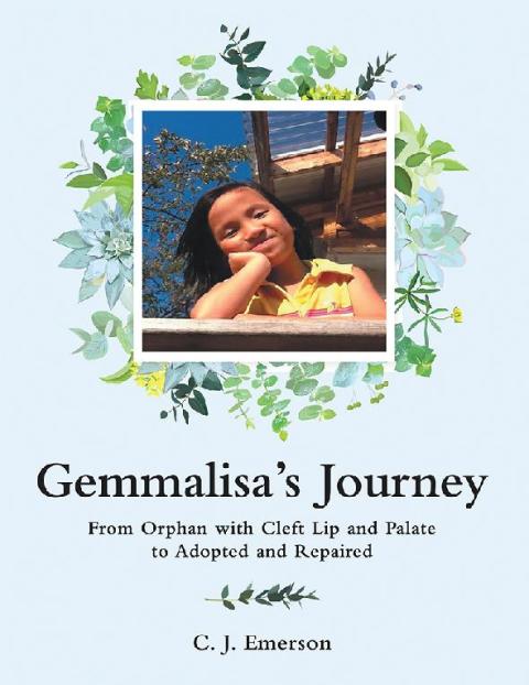Cover image for book Gemmalisa’s Journey
