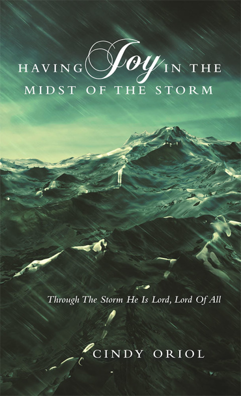 Cover image for book Having Joy in the Midst of the Storm