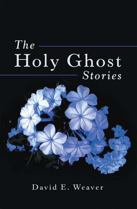 Cover image for book The Holy Ghost Stories