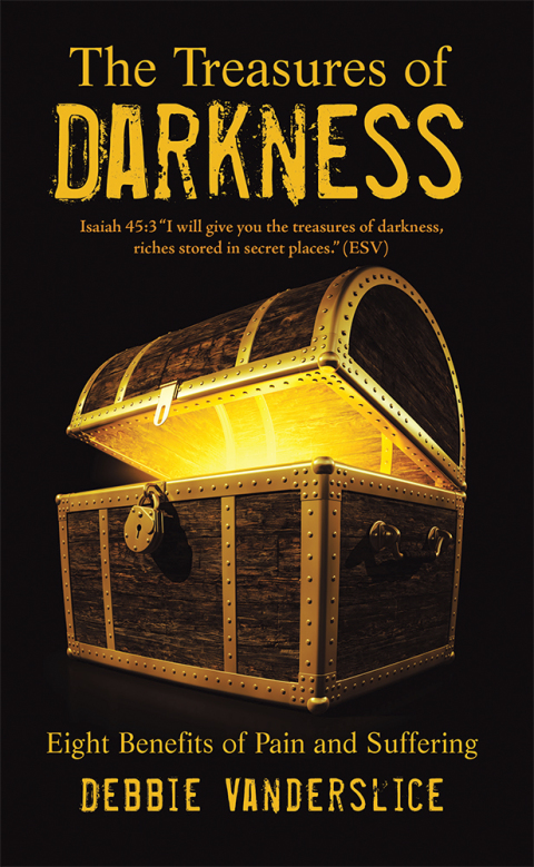 Cover image for book The Treasures of Darkness