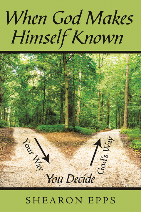 Cover image for book When God Makes Himself Known