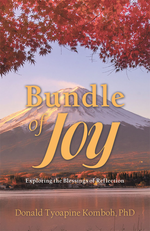 Cover image for book Bundle of Joy