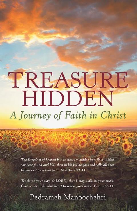 Cover image for book Treasure Hidden