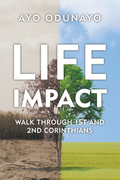 Cover image for book Life Impact