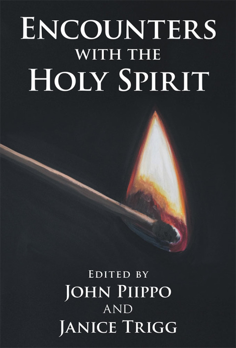 Cover image for book Encounters with the Holy Spirit