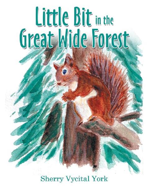 Cover image for book Little Bit in the Great Wide Forest