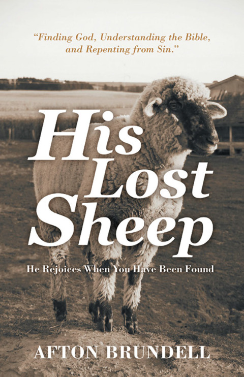 Cover image for book His Lost Sheep