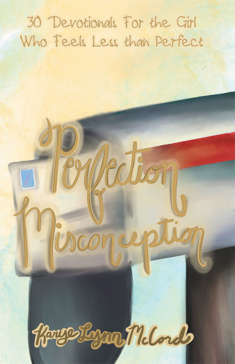 Cover image for book Perfection Misconception