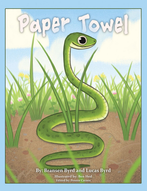 Cover image for book Paper Towel