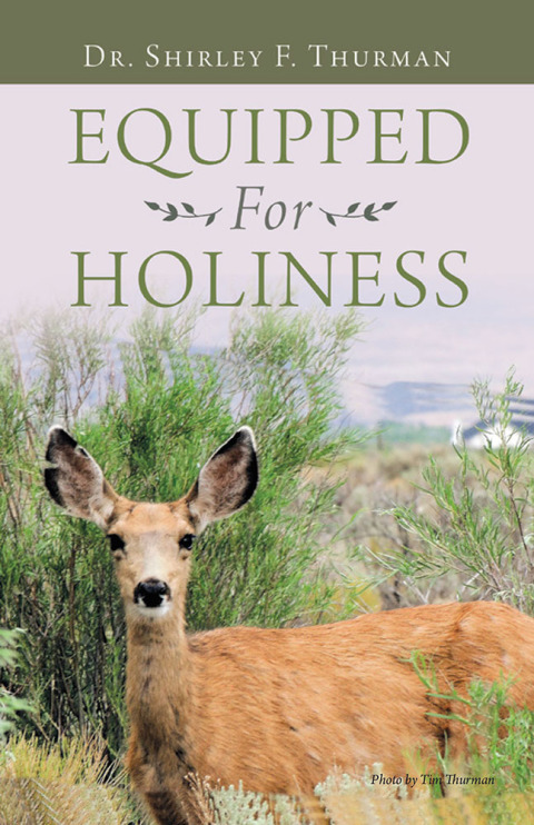 Cover image for book Equipped for Holiness