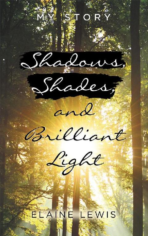 Cover image for book Shadows, Shades, and Brilliant Light