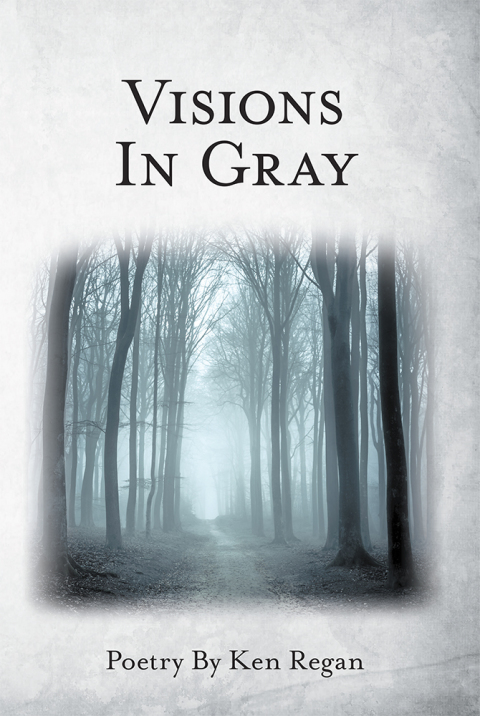 Cover image for book Visions in Gray