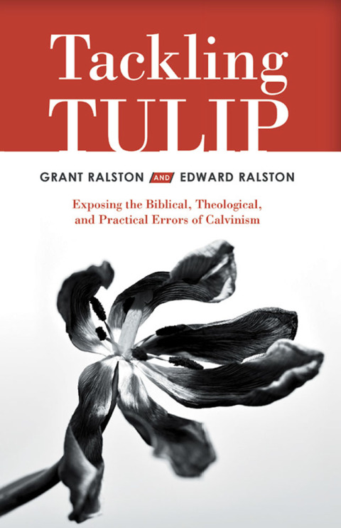 Cover image for book Tackling Tulip