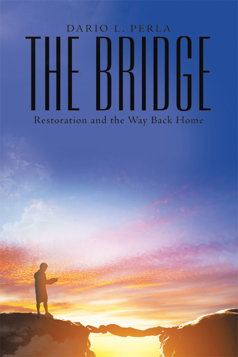 Cover image for book The Bridge