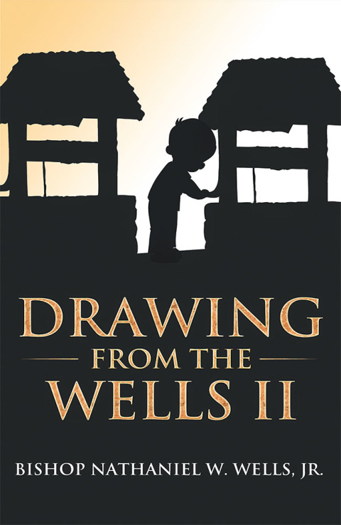 Cover image for book Drawing from the Wells Ii