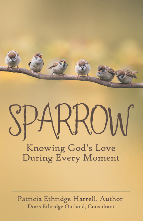 Cover image for book Sparrow