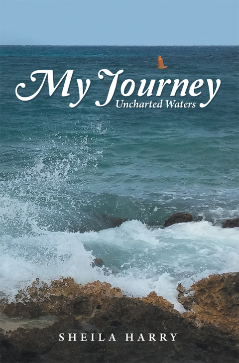 Cover image for book My Journey
