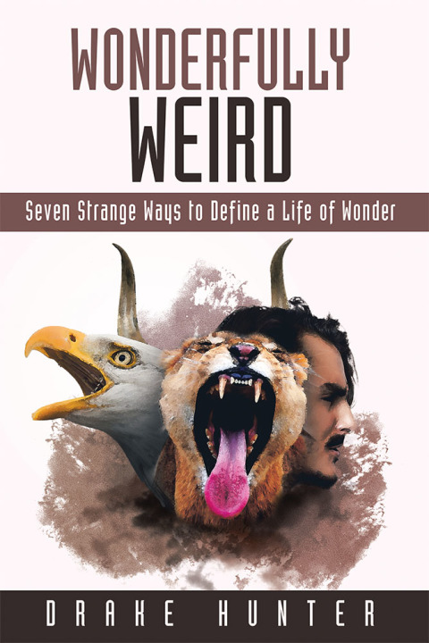 Cover image for book Wonderfully Weird