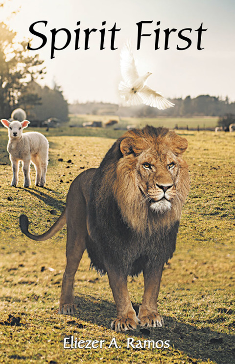 Cover image for book Spirit First
