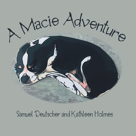 Cover image for book A Macie Adventure