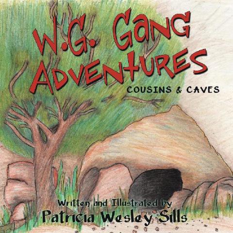 Cover image for book W.G. Gang Adventures