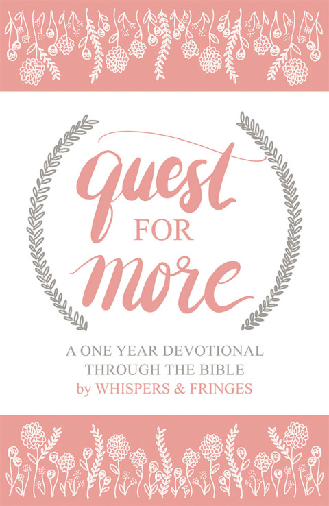 Cover image for book Quest for More