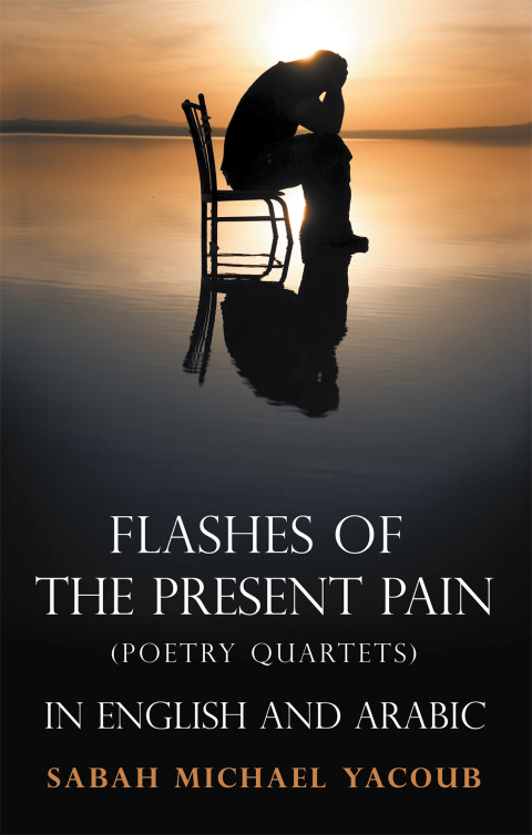 Cover image for book Flashes of the Present Pain
