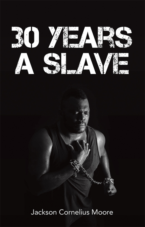 Cover image for book 30 Years a Slave