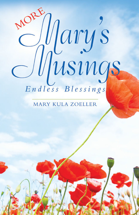 Cover image for book More Mary’s Musings