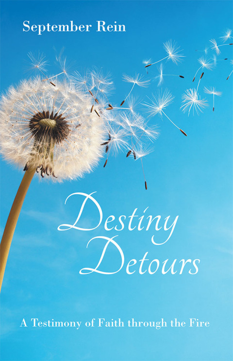 Cover image for book Destiny Detours