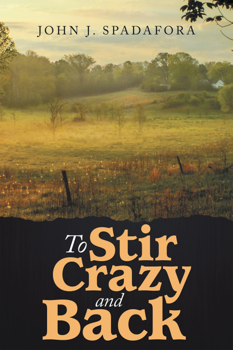 Cover image for book To Stir Crazy and Back
