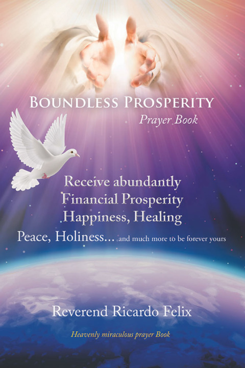 Cover image for book Boundless Prosperity