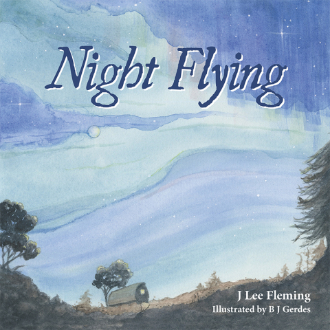 Cover image for book Night Flying
