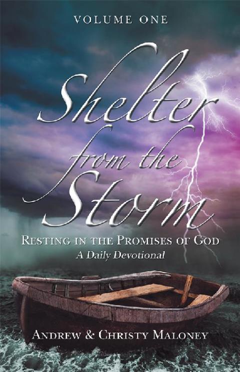 Cover image for book Shelter from the Storm