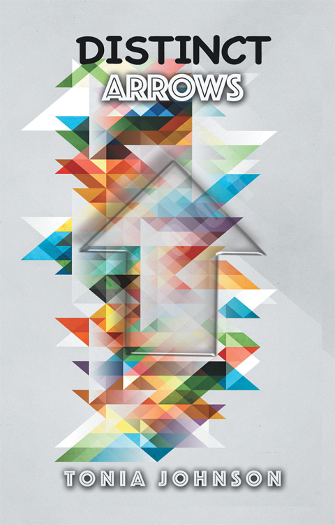 Cover image for book Distinct Arrows