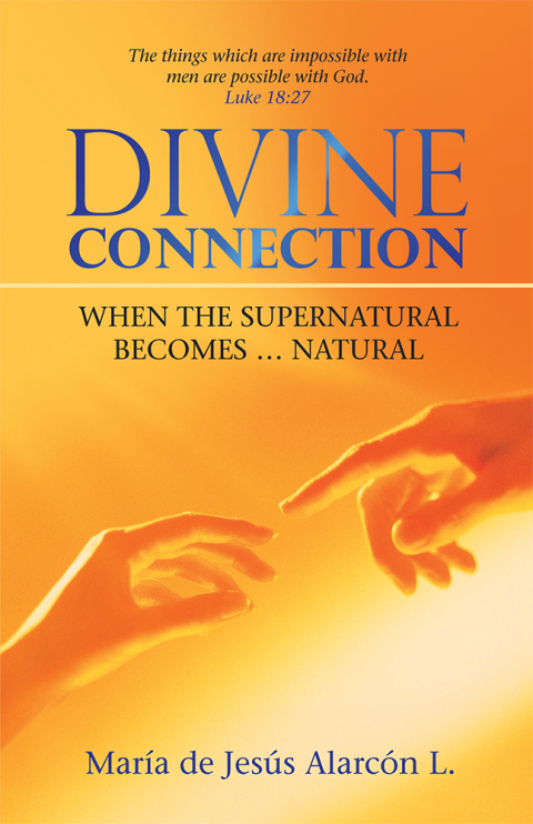 Cover image for book Divine Connection