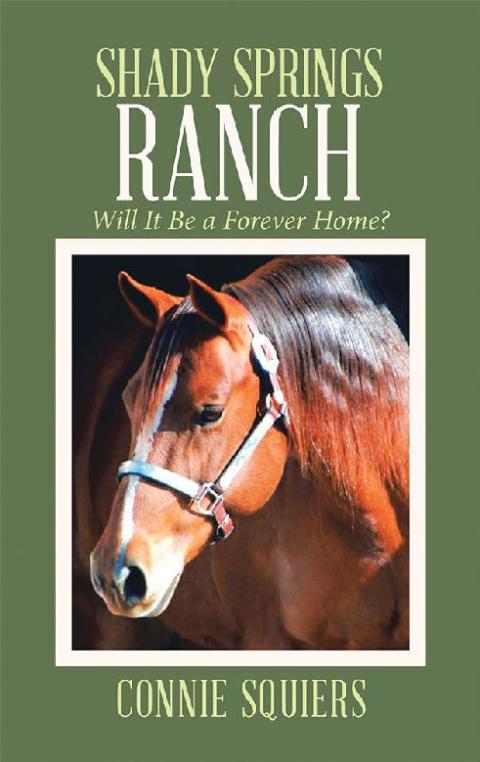 Cover image for book Shady Springs Ranch