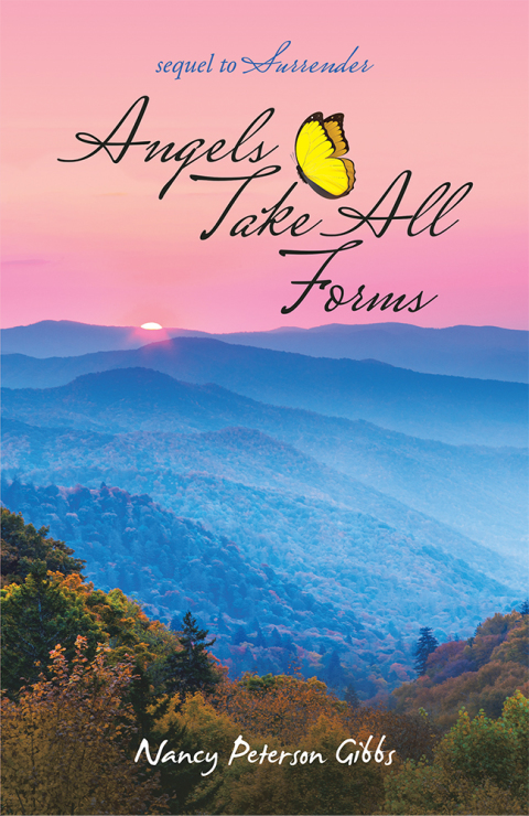 Cover image for book Angels Take All Forms