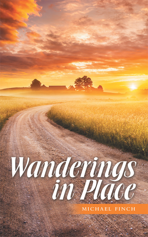 Cover image for book Wanderings in Place