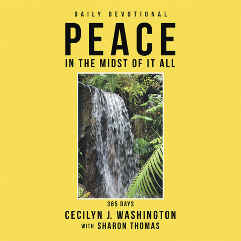 Cover image for book Peace in the Midst of It All