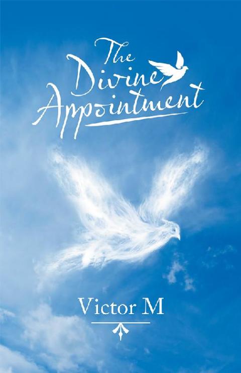 Cover image for book The Divine Appointment